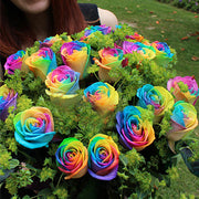 View Rainbow Rose Seeds image 4
