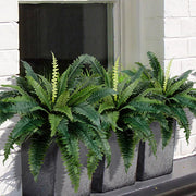 View 🌱 UV Resistant Ferns Artificial Plants Large for Planters, Office & Home Decor, Outdoor & Indoor image 3