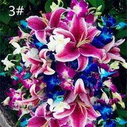 View Perfume Liliy Seeds Flower Garden Plant image 6