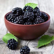 View Sweet Giant Blackberry Seeds image 4