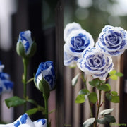 View Rare Blue Ink Rose Seeds🔥2024 Newest image 1