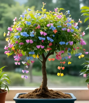 View 🎉Limited Time Offer: 50% Off 🦋Golden Thread Butterfly Flower Seeds image 5