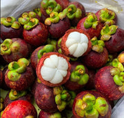 View ✨Mangosteen – High yield, sweet and juicy flesh! ✨ image 5