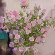 View Campanula Seeds, Potted Flower Seeds image 5