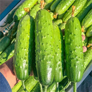 View 🥒Crawling Fruit Cucumbers Seeds image 4