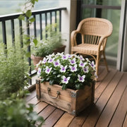 View 🏆 50K+ SOLD! 🦋🌸 Moonlight Butterfly Flower Seeds – Fall & Winter Planting, Perennial Blooms & Stunning Garden Elegance 🍂 image 4