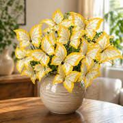 View 🌿 Blue Butterfly Seeds – Grow Butterfly-Shaped Leaves with Ease 🦋 image 2