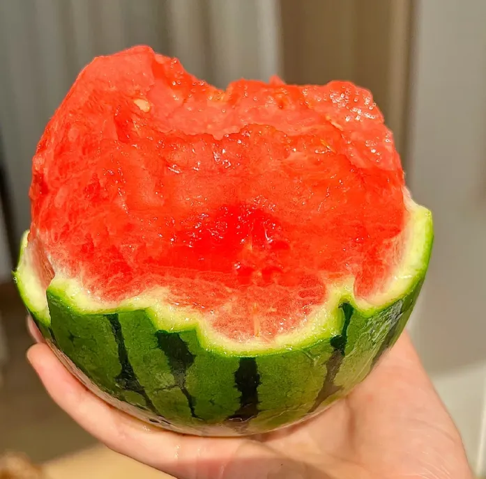 Potted Watermelon Seeds-Small Space Planting