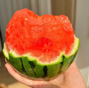 View Potted Watermelon Seeds-Small Space Planting image 2