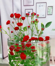 View Water Beauty Rose-Miniature bonsai roses, blooming all year round, potted flowers Ornamental bonsai, indoor plants image 5