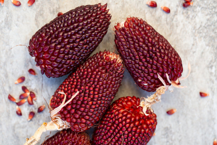 🍓&🌽Strawberry Corn seeds - 2023 popular seeds