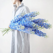 View 40 Seeds Baby Blue Larkspur Seeds image 2