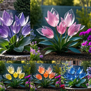 View 🥰✨Create your dream garden-Crystal Flower🌼 image 1