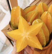 View ⭐Sweet Starfruit Seeds-Four Seasons Potted image 5