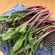 View Beetroot Under The Snow Seeds image 5