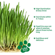 View Grow Fresh Cat Grass Seeds at Home image 5