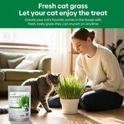 View Grow Fresh Cat Grass Seeds at Home image 2