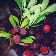 View Giant Bayberry: Ping-Pong Ball Size, ⭐Strawberry-Cherry Fusion Flavor image 4