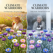 View 🌼 Unstoppable Cornflower Seeds – Premium Wildflowers That Grow Anywhere! image 3