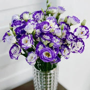 View 💐Lisianthus - A Sincere and Immutable Love image 6