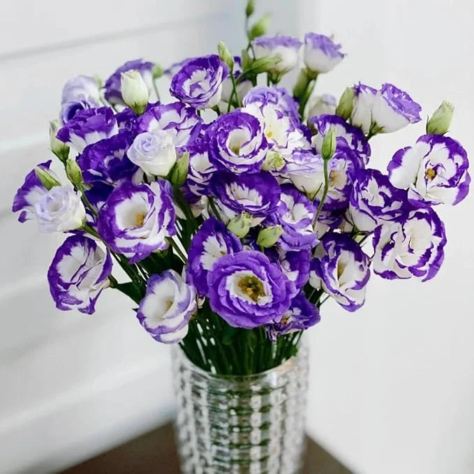 💐Lisianthus - A Sincere and Immutable Love