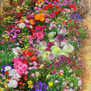 View Mixed Perennial Flowers Seeds-Over 60 kinds mixed-Easy care image 3
