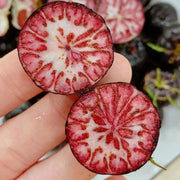 View 🎉Small Version Of Pumpkin🎃-Red Ginseng Seeds🍅 image 4