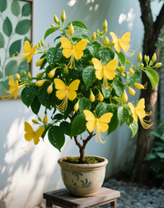 View 🎉Limited Time Offer: 50% Off 🦋Golden Thread Butterfly Flower Seeds image 6