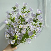 View Campanula Seeds, Potted Flower Seeds image 4
