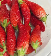 View Super Sweet Chili-Shaped Strawberry Seeds🍓 image 5