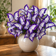 View 🌿 Blue Butterfly Seeds – Grow Butterfly-Shaped Leaves with Ease 🦋 image 3