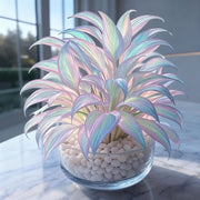 View Rainbow Haze Plant Seeds image 3