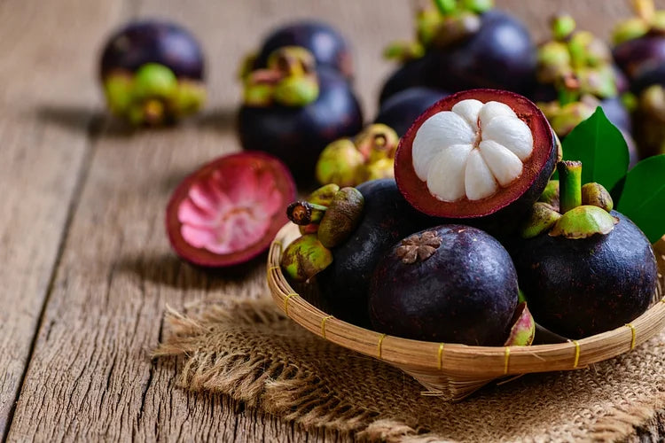 ✨Mangosteen – High yield, sweet and juicy flesh! ✨