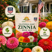 View Zinnia Seeds (California Giant ) – 100% Pure Heirloom Flower Seeds image 3