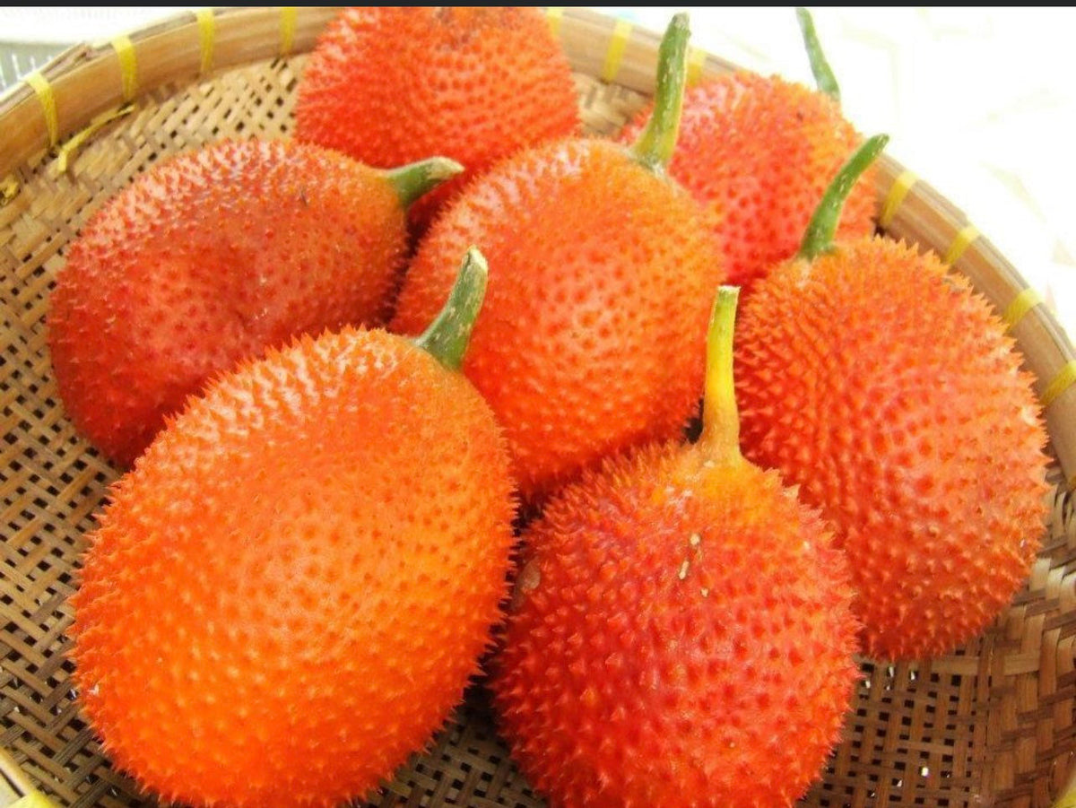 Gac fruit seeds, Gac Melon Vine Momordica Cochinchinensis seeds