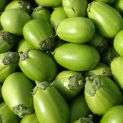 View 🍆 Green Can Eggplant Seeds - A Flavorful and Nutritious Garden Gem! image 5