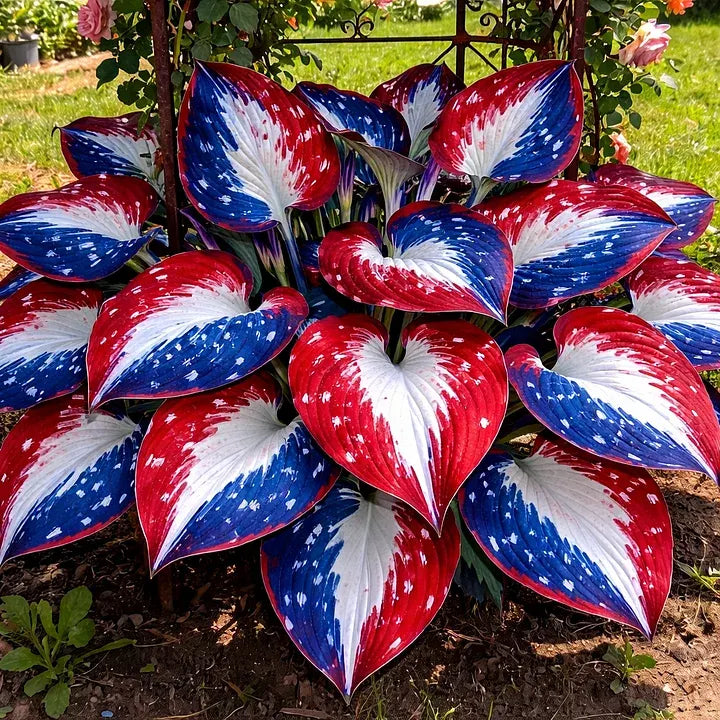 🔥🌌 Glow-in-the-Dark Garden Magic: Rare Dark Blue Flame Hostas Seeds