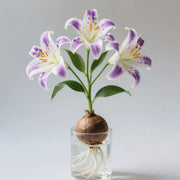 View 🌸 Water-Grown Lily – Fragrance & Elegance in a Glass! 🌿 image 6