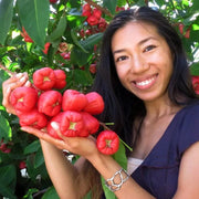 View Wax-apple Fruit Seeds🍹100% Germination Rate image 6