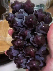 View 🎆Hot Sale🥂Rare And Beautiful Breed🌟Star Grape Seeds🍇 image 3
