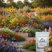 View 🌷 45 in 1 Flower Seeds Combo Pack | Home Garden Growing Kit image 2