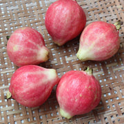 View Guava Seeds--The Beauty Of Winter❄️ image 3