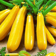 View Banana Zucchini - Golden Zucchini🌿Can be planted in all seasons image 1