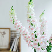 View 🌸APPLE BLOSSOM SNAPDRAGON Flower Seeds-Extremely romantic flowers💕 image 6