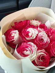 View Fuchsia white rose seeds - Cozy Beauty image 4