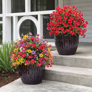 View Artificial Eucalyptus and Violet Ground-Insert Floral Decoration image 6