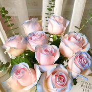 View Rare Seeds - Datura Langaros Roses of the Western Regions image 2
