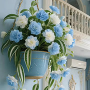 View Grand Bloom Spider Plant Seeds/Bulbs 💐 Nature's Hanging Masterpiece of Color & Grace image 5