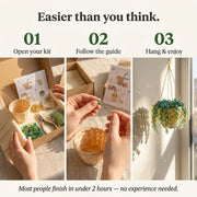 View Plant Suncatcher DIY Kit image 4
