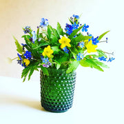 View Alpine Forget Me Not Mixed Seeds - Myosotis alpestris - Biennial Flower Seeds - Organic Seeds image 3